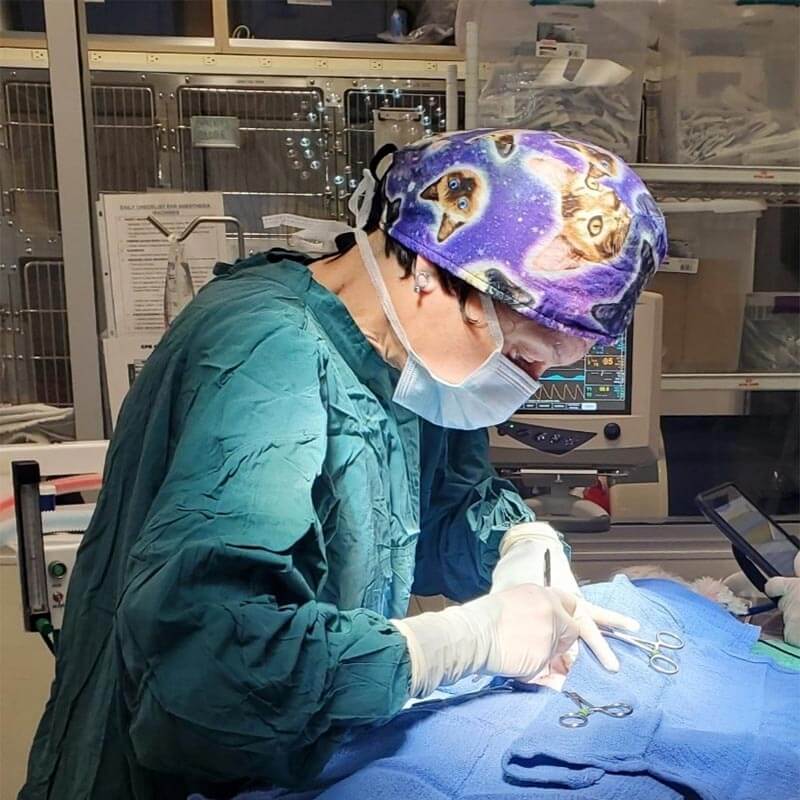 Our surgical team Our surgical team