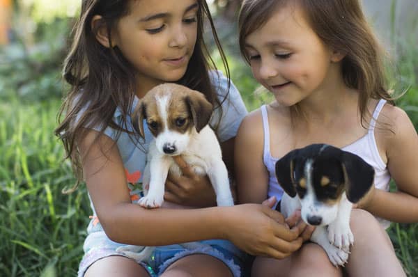 Veterinary wellness care for puppies and kittens Two children playing with adorable puppies