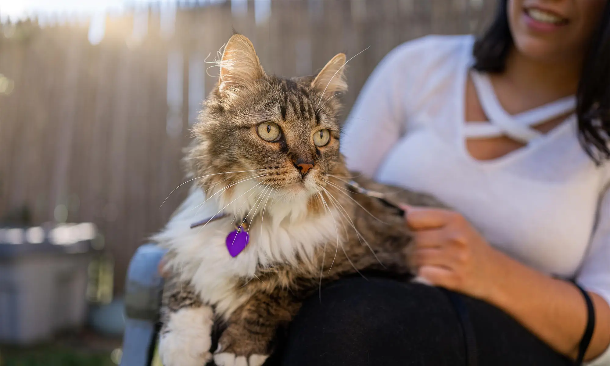 A cat being held outdoors