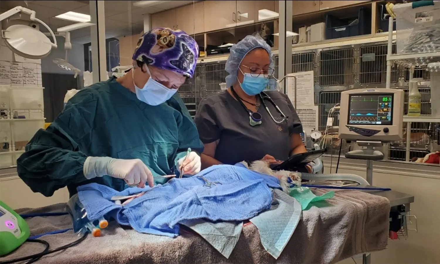Our surgical team